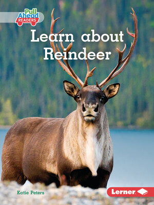 cover image of Learn about Reindeer
